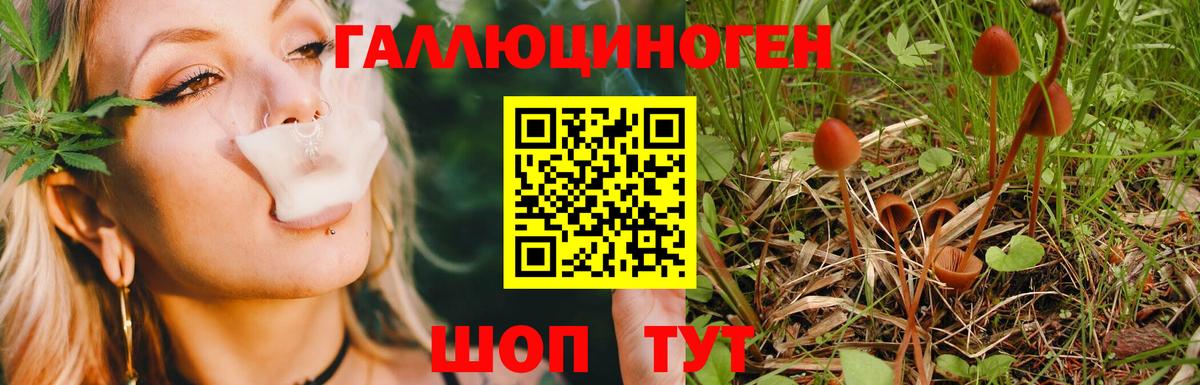 Псилоцибиновые грибы Cubensis Кирово-Чепецк